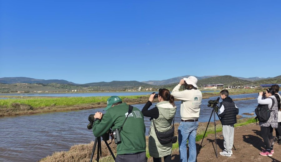 Στους υγρότοπους του κόλπου Καλλονής