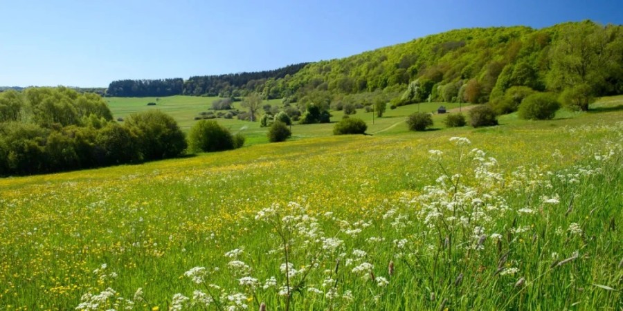 Πώς η κλιματική αλλαγή θα επηρεάσει τους βοσκοτόπους  μέχρι το 2100