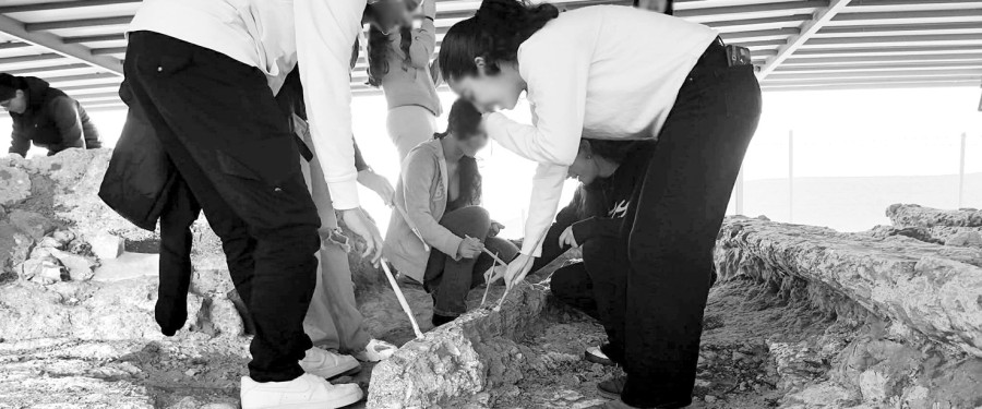 Μέσω ERASMUS+ στο Απολιθωμένο δάσος