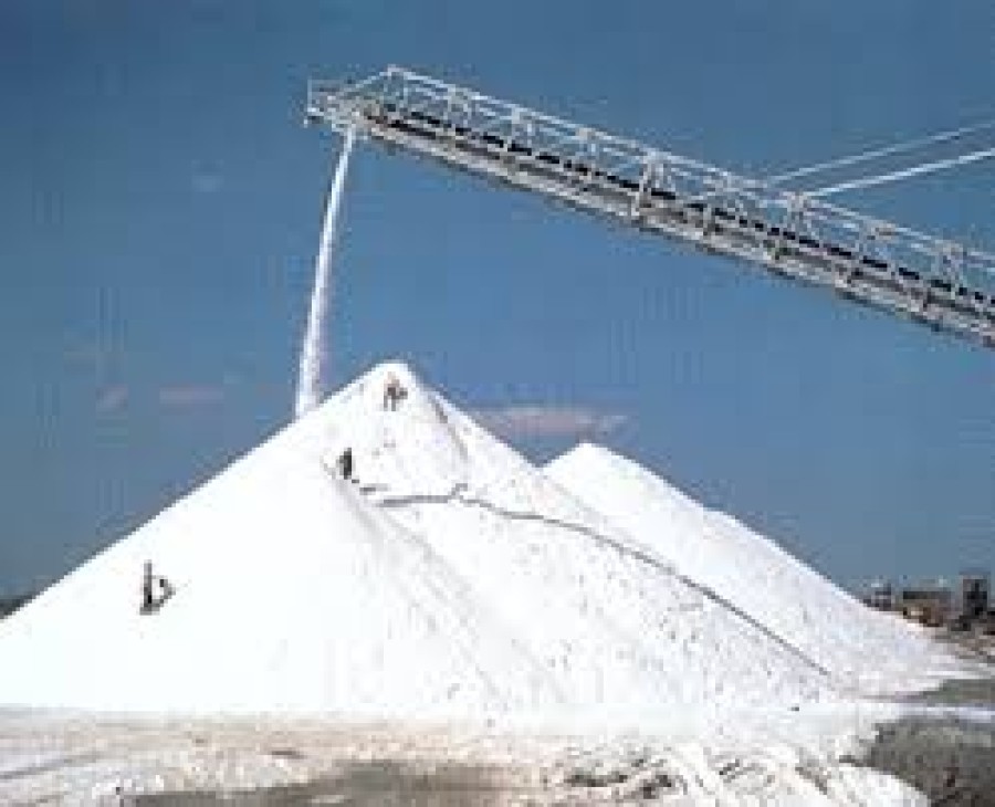 Η ιδιωτικοποίηση των ελληνικών αλυκών