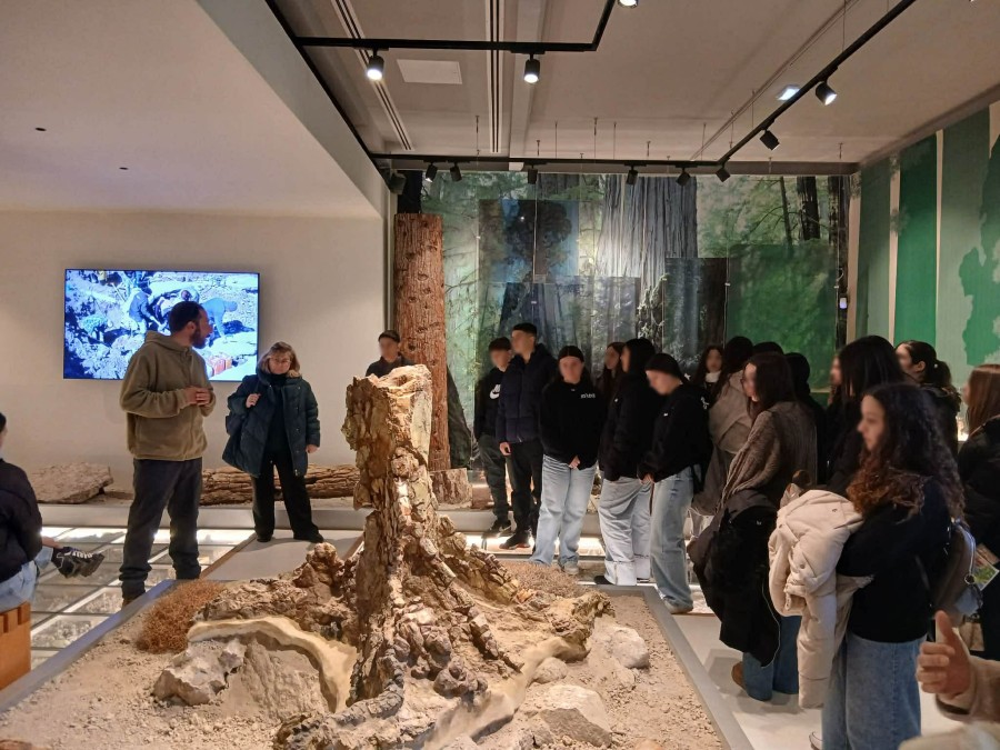 Με το Erasmus στο Απολιθωμένο 