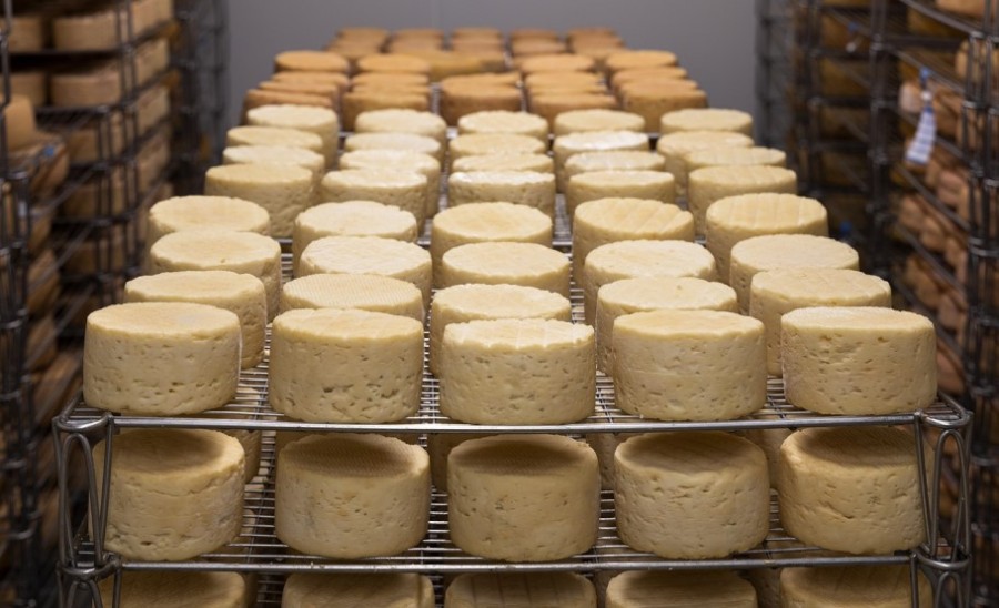 Ανακοίνωση συλλόγου τυροπαραγωγών Λέσβου