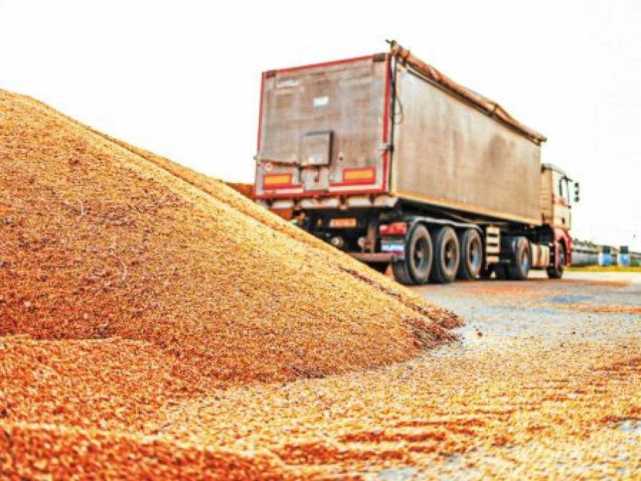 Διακίνηση ζωοτροφών στο λιμάνι