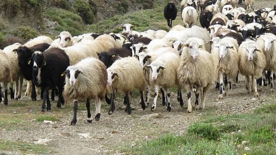 Διευκρινήσεις ΥΠΑΑΤ