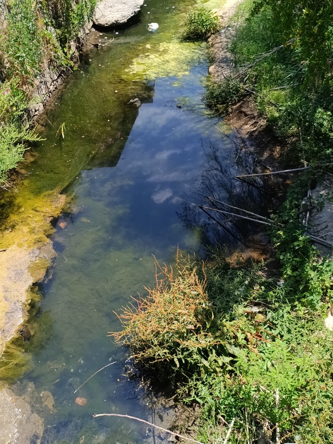 Αίτημα για άμεση και οριστική παρέμβαση