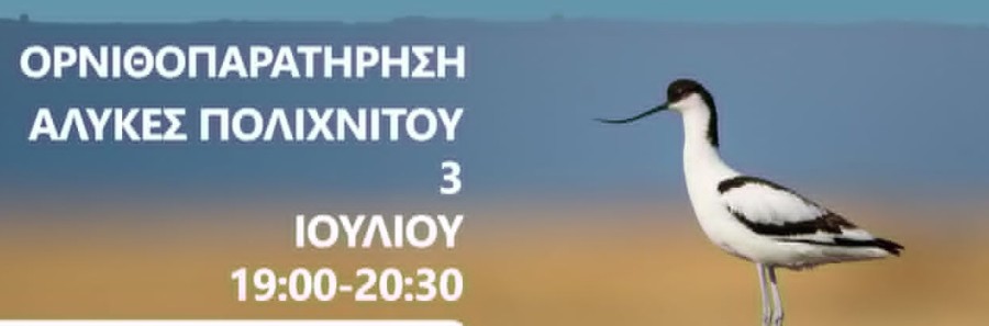 ΟΡΝΙΘΟΠΑΡΑΤΗΡΗΣΗ