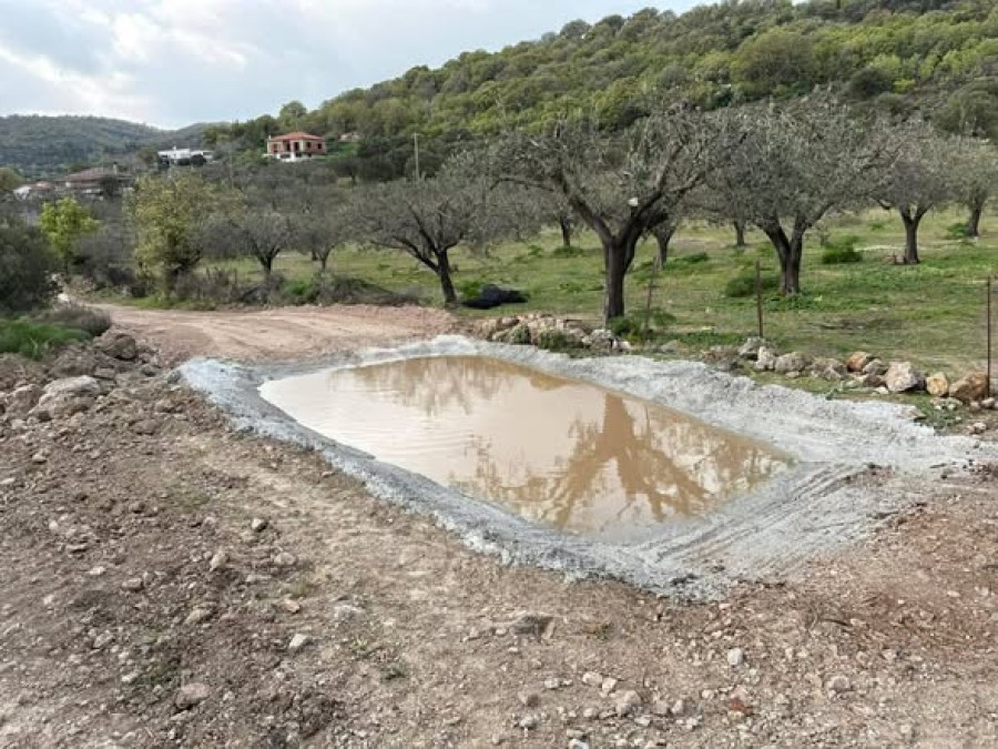 Για την πρόληψη διασποράς των επιζωοτιών