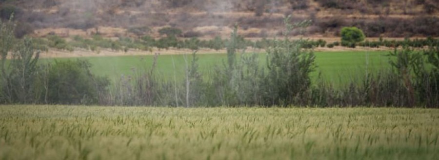 Ασπίδα βιοασφάλειας των 13 περιφερειών της χώρας