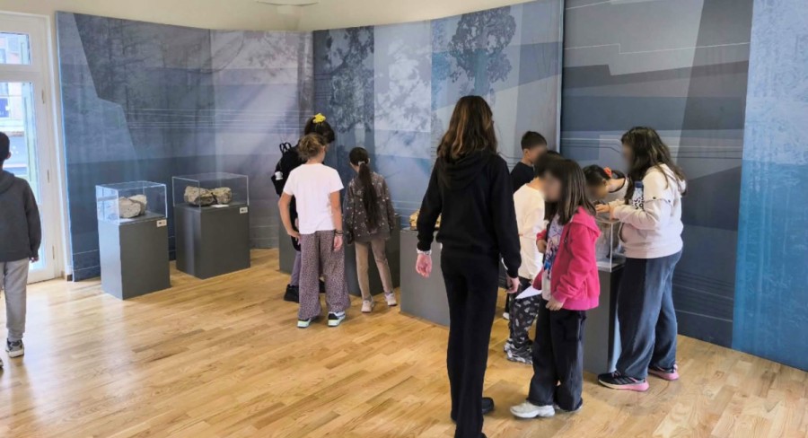 Διεθνής ημέρα γεωποικιλότητας