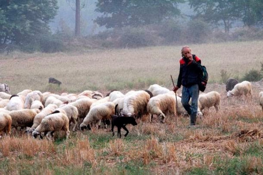 Δήλωση κτηνοτρόφων