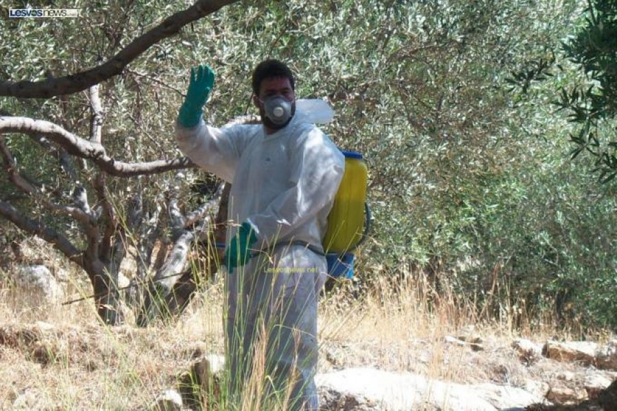 Απλήρωτοι οι εργάτες της δακοκτονίας