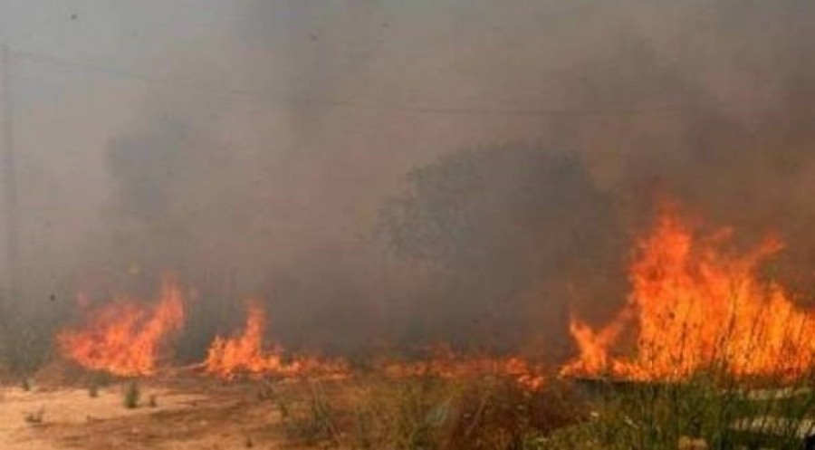 Για εμπρησμό από αμέλεια