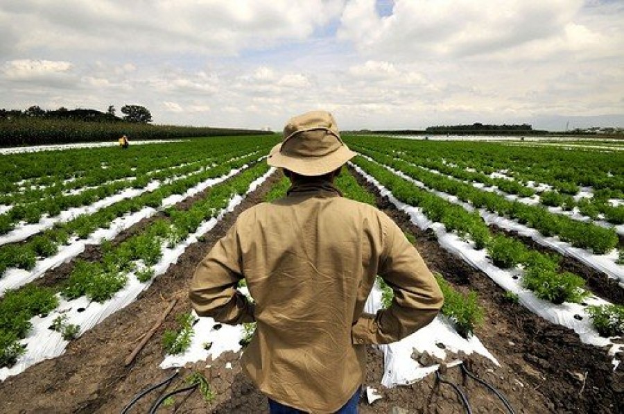 «Αγροτική Ανάπτυξη και Νέοι Αγρότες»