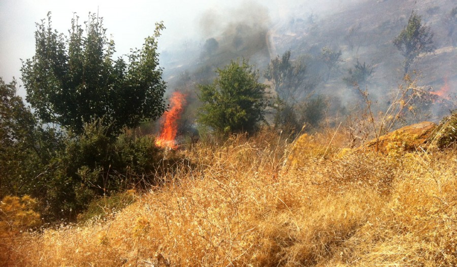 Σύσκεψη για την απανθρακωμένη Αμαλή