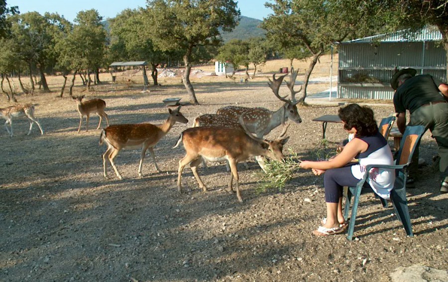 σε όλους τους μαθητές των Δημοτικών, Γυμνάσιων και Λυκείων της Λέσβου