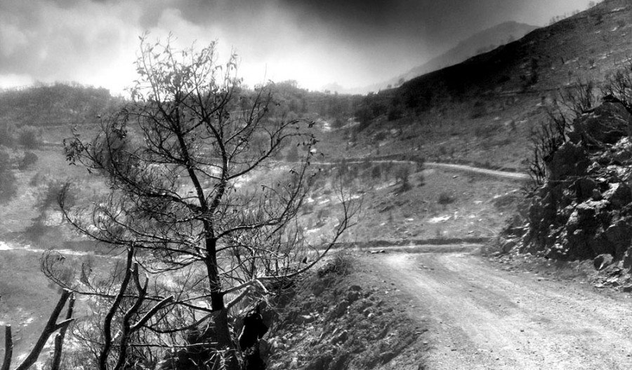 «Πρόληψη και Μείωση του Κινδύνου και των Καταστροφών από Δασικές Πυρκαγιές»