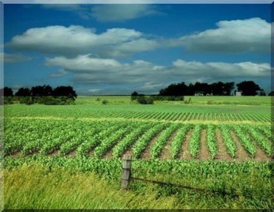 Πλήγμα στην αγροτική οικονομία