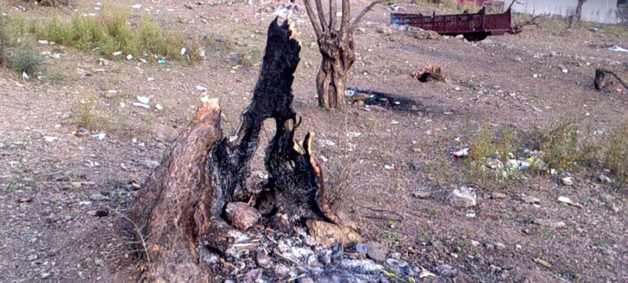 Για ένα 15νθήμερο στη Μόρια