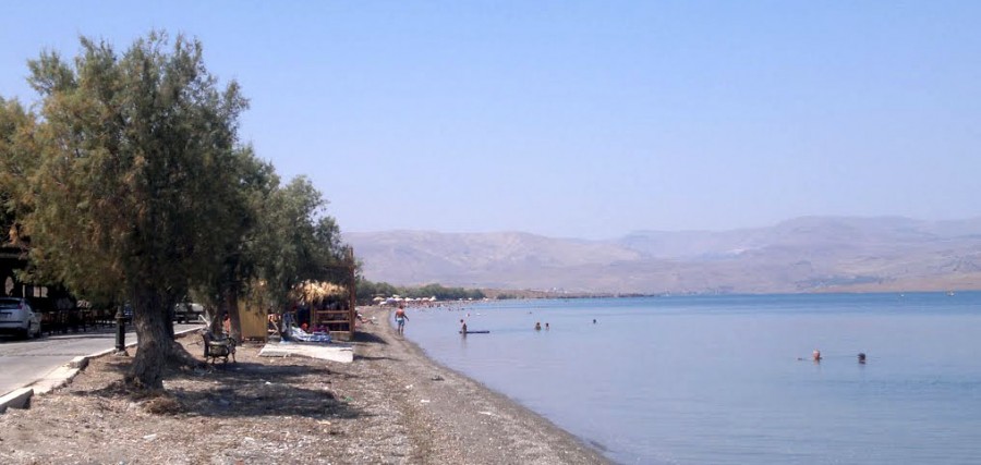 Ο Δήμος Λέσβου για την καρατόμηση των δέντρων στη Νυφίδα