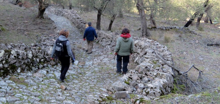 πεζοπορικός σύλλογος «Ορειάς»