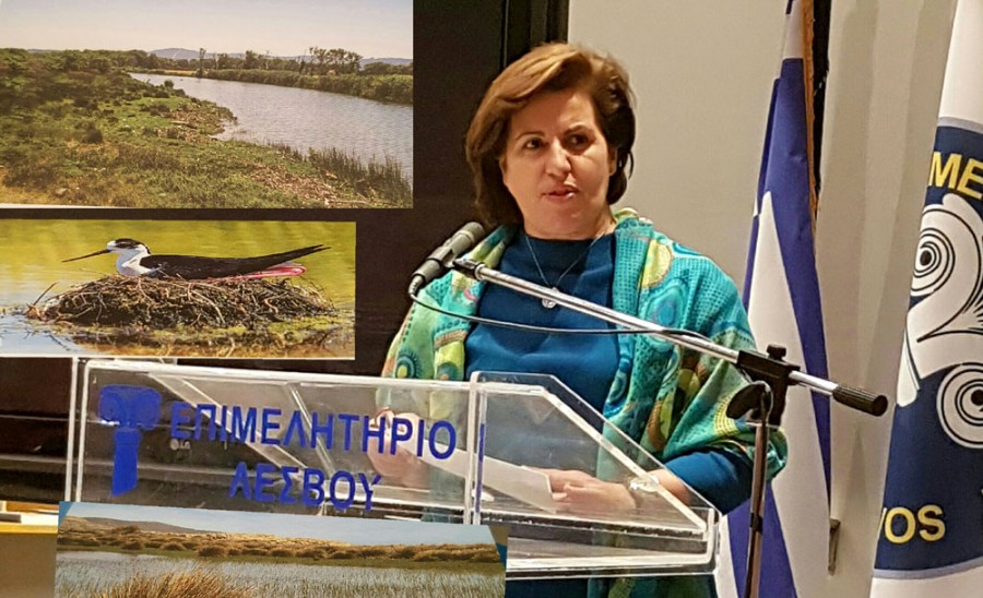 Χρ. Καλογήρου 