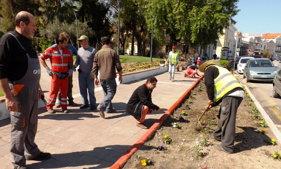 Φύτευση εποχικών ανθοφόρων λουλουδιών