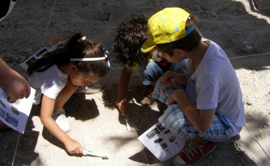 Θερινά εκπαιδευτικά προγράμματα στο Μ.Φ.Ι.