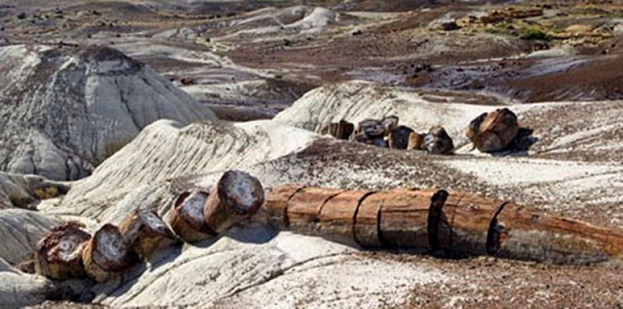 Εθνική οδός Καλλονής Σιγρίου