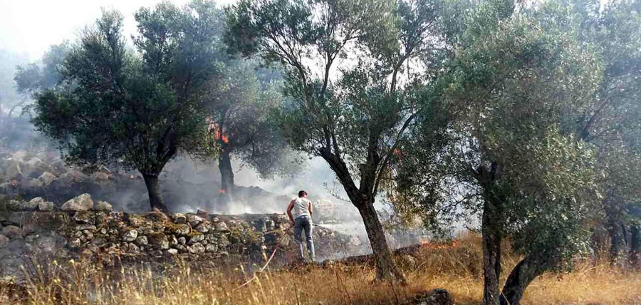 Στην Καράβα Μανταμάδου