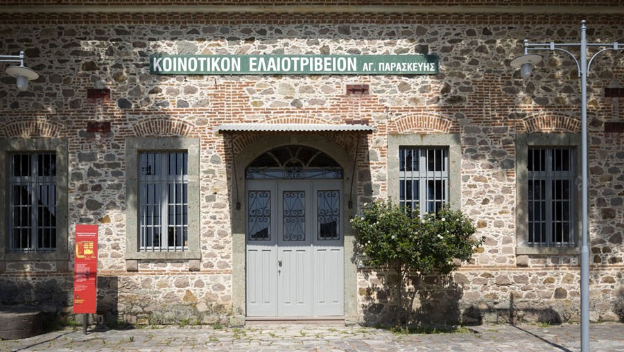 Δράσεις για μικρούς και μεγάλους