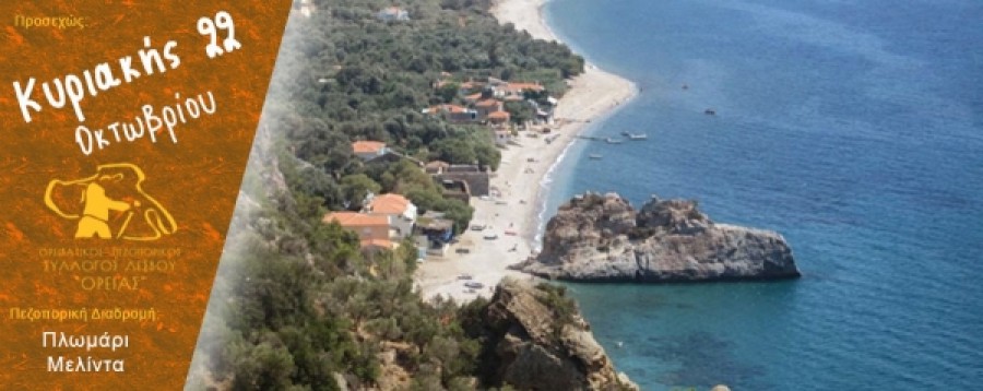 Aπαιτητική διαδρομή στην περιοχή του Πλωμαρίου