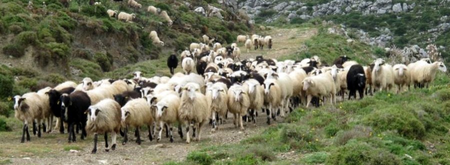 Η κρισιμότητα της κατάστασης 