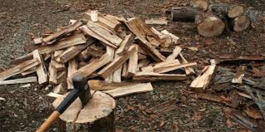 Καυσοξύλευση για ατομικές ανάγκες