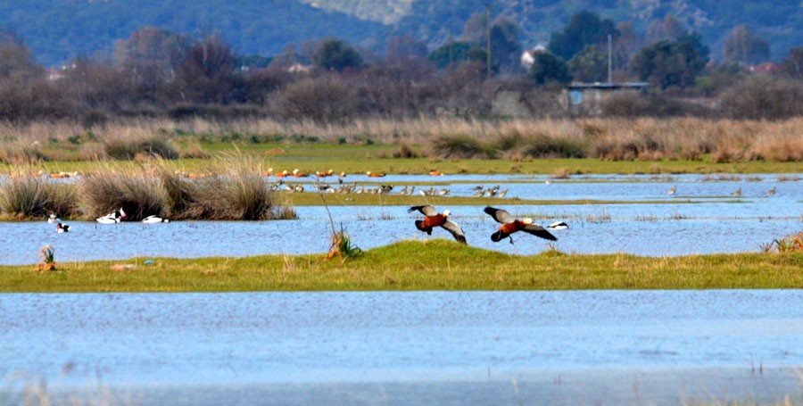 Για προστατευόμενες περιοχές Natura