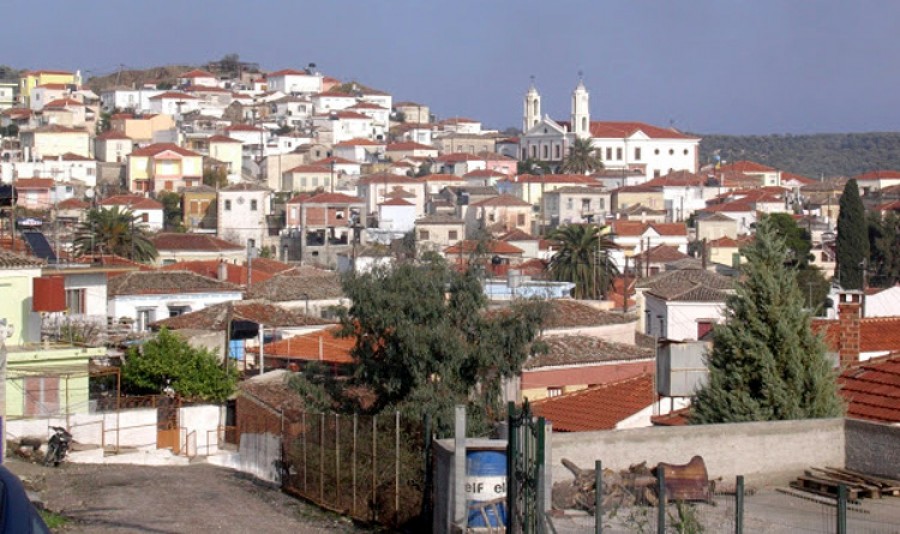 Τα Πάμφιλα αντιδρούν 