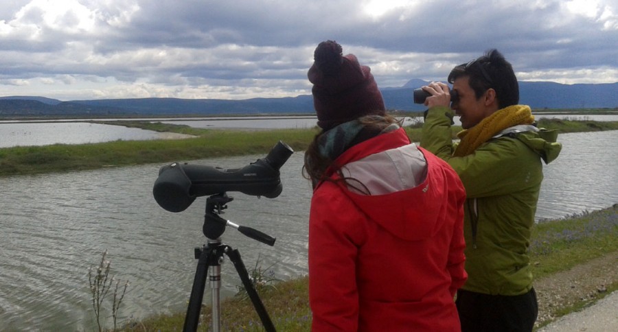 Παρατήρηση πουλιών στη Λέσβο