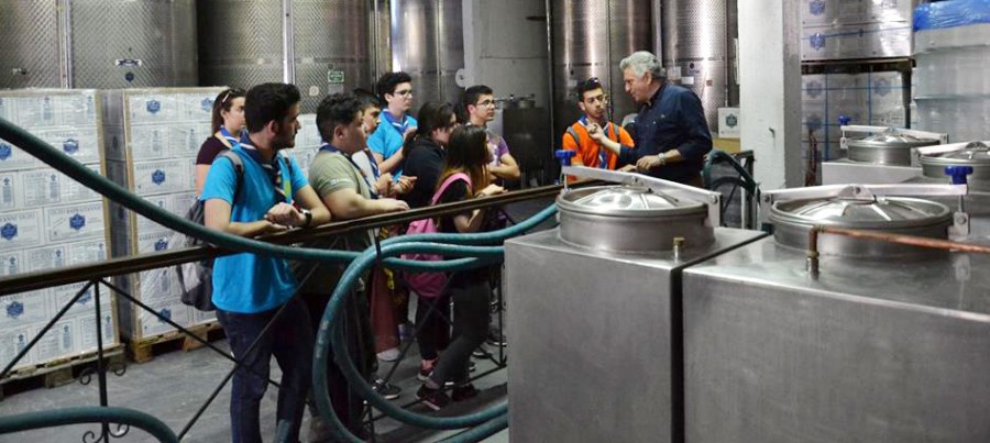 Πασχαλινή δράση των Ανιχνευτών της Μυτιλήνης