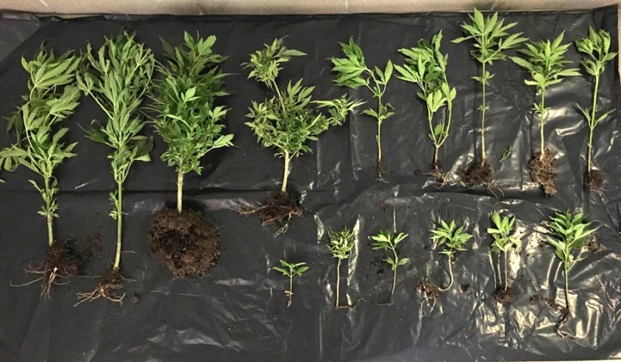 Σε περιοχή της Μυτιλήνης