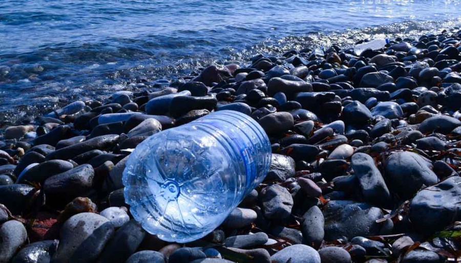 Παγκόσμια ημέρα περιβάλλοντος & ωκεανών