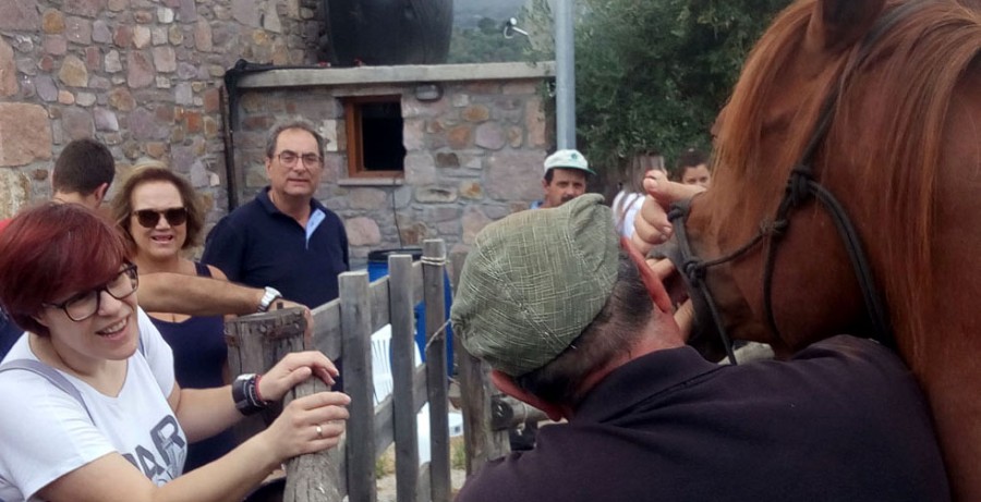 Aπόλαυσαν την παρουσίαση αλόγων