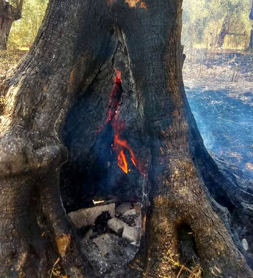 Eκδηλώθηκε πυρκαγιά