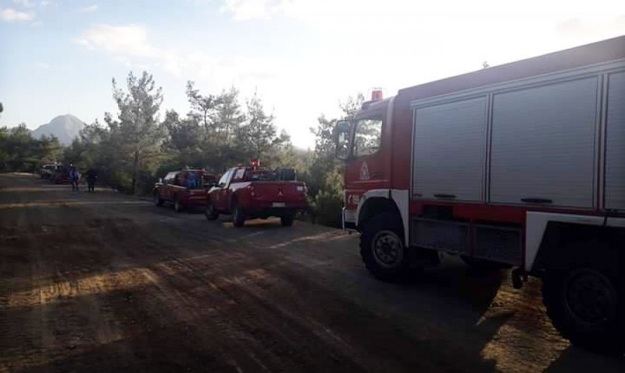 Άμεση επέμβαση