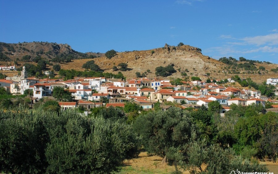 «Μετράμε 43 χρόνια και προχωράμε»