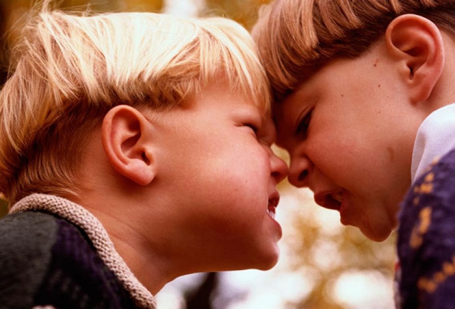 «Η διαχείριση της επιθετικότητας των παιδιών στην προσχολική ηλικία»