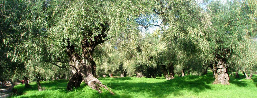 Εντολή στις Περιφέρειες