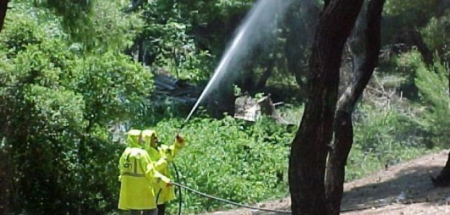 Δακοκτονία