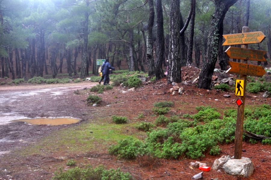 Ο Ορειάς θα περπατήσει από την Ανεμώτια 
