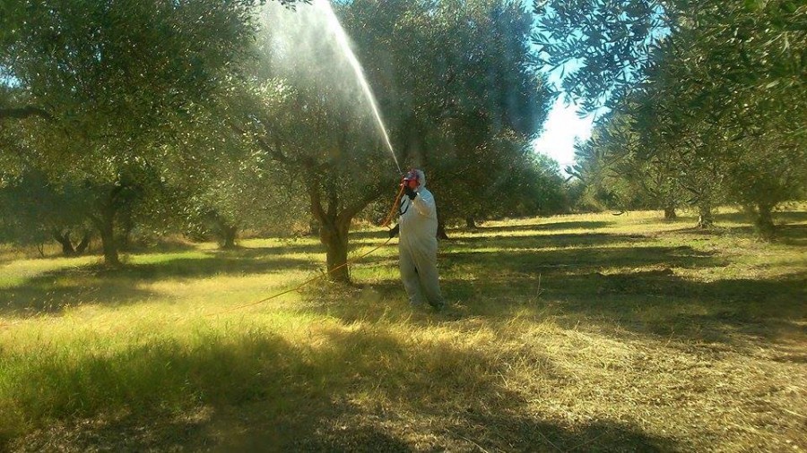 Δακοκτονία