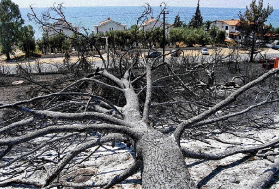 Ευρωπαϊκή προετοιμασία για τις πυρκαγιές 