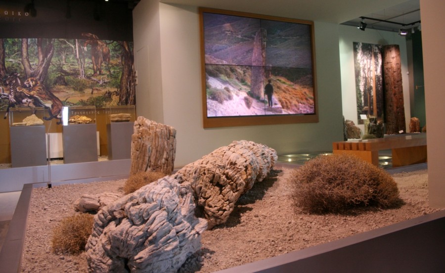 Μουσείο Φ.Ι. Απολιθωμένου Δάσους